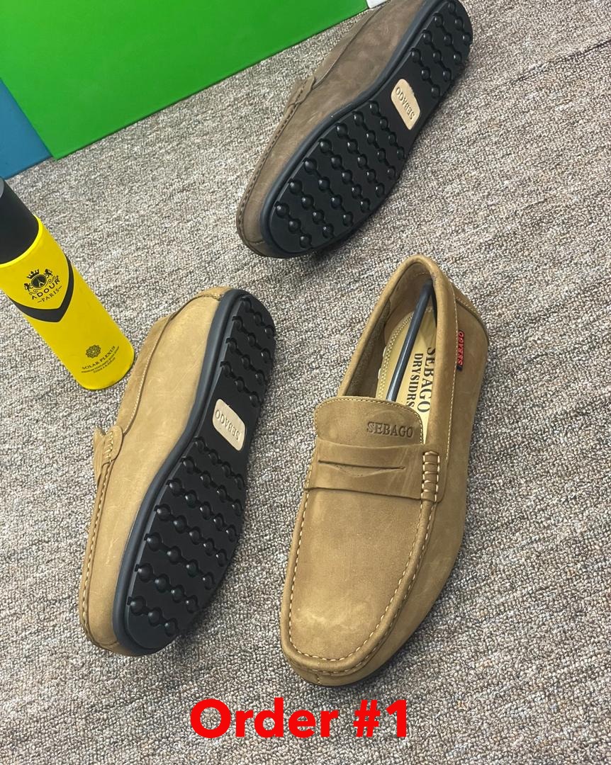 Carton color sebago1